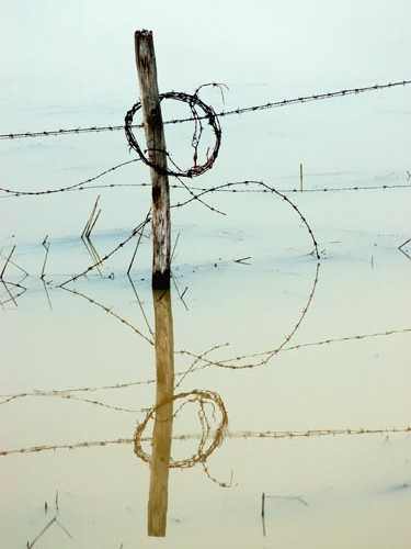 Wire In Coto Donana. Photo by Jo Halpin Jones
