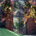 Garden Gate Sandringham
