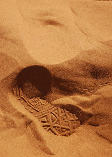 Desert Footprint. Photo by Jo Halpin Jones