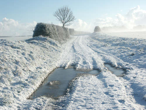 Winter Walk, Norfolk. Photo by Jo Halpin Jones